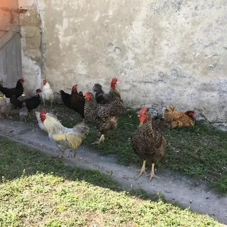 Domaine du Joug Rompu